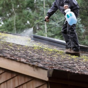 Roof Cleaning And Maintenance Wakefield
